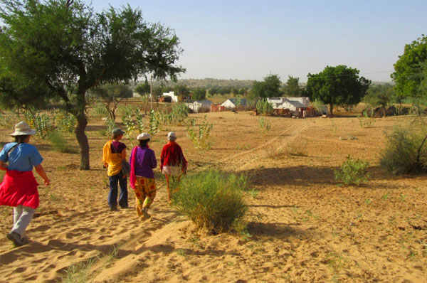 rural stay in Rajasthan