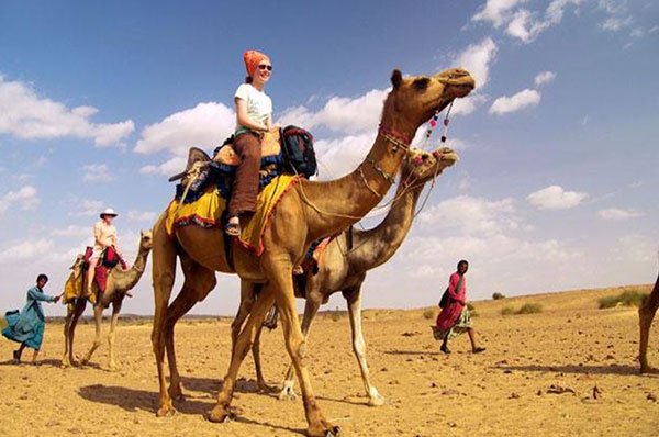 camel safari in Rajashan