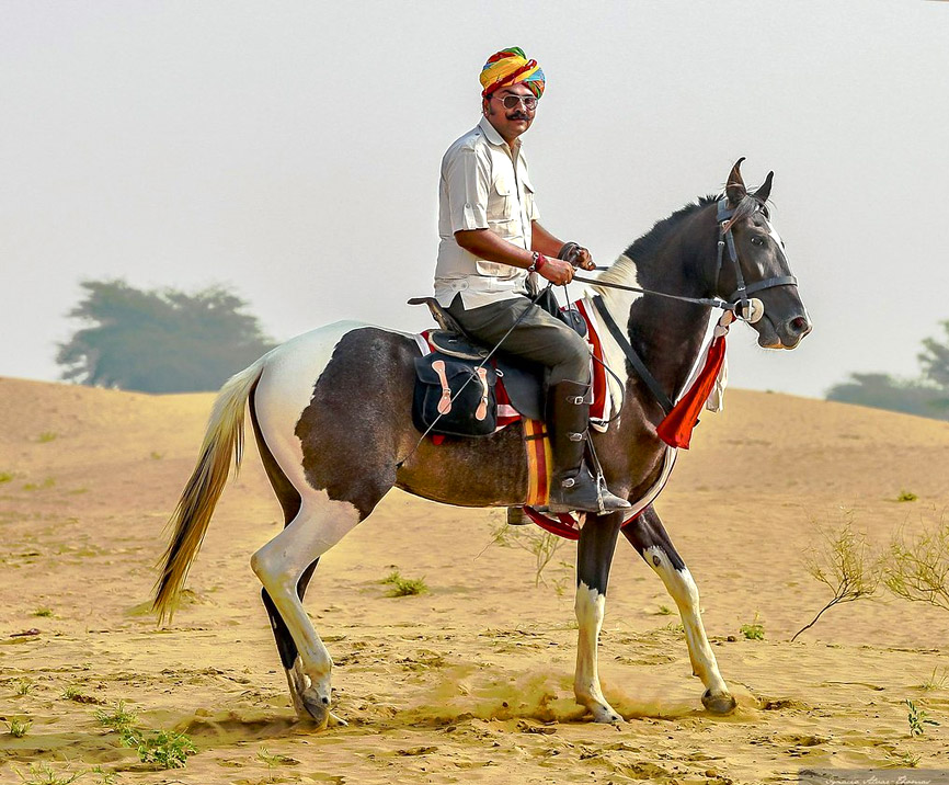 horse riding in rajasthan